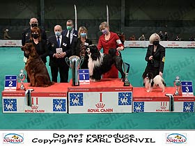 chien �leveurs chiens photos